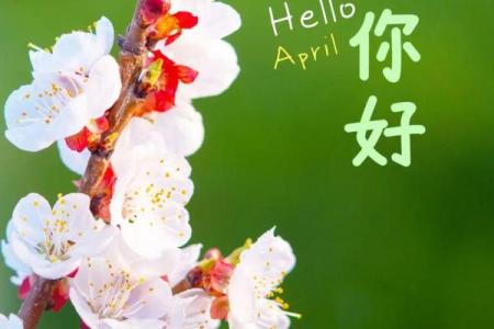 四月十号有哪些特殊节日与历史事件