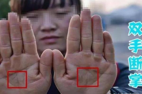 断掌命理如何影响一生运势