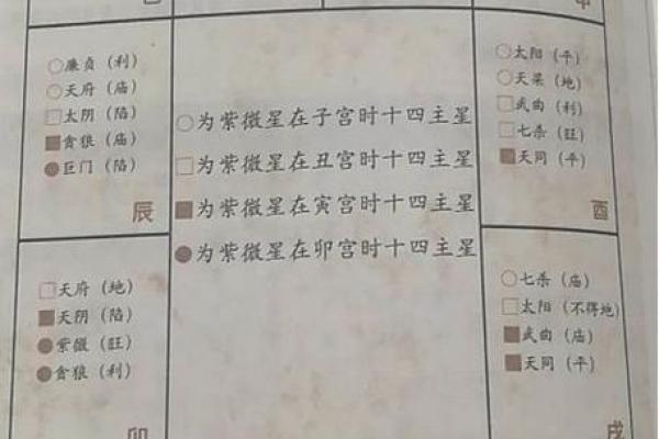 手机排盘：轻松掌握个人命运走势