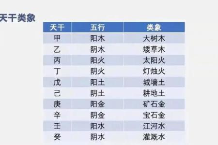 天干地支今天是什么日子 一起解读
