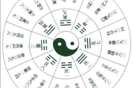 奇门遁甲排盘下载教程：步骤解析与技巧分享