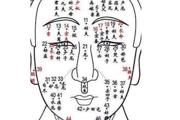好色面相与个人命运的关系揭秘