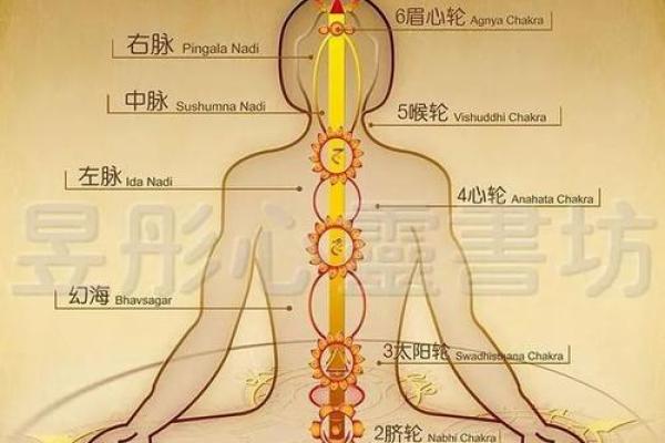 解读姚晨命理：她的星象背后隐藏的命运密码