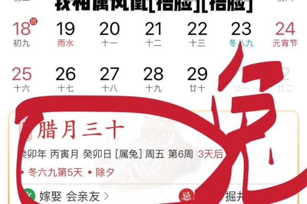 日历中的生肖解析：今天属什么？