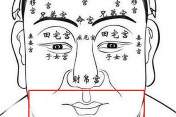 嘴歪面相的解读与运势影响解析