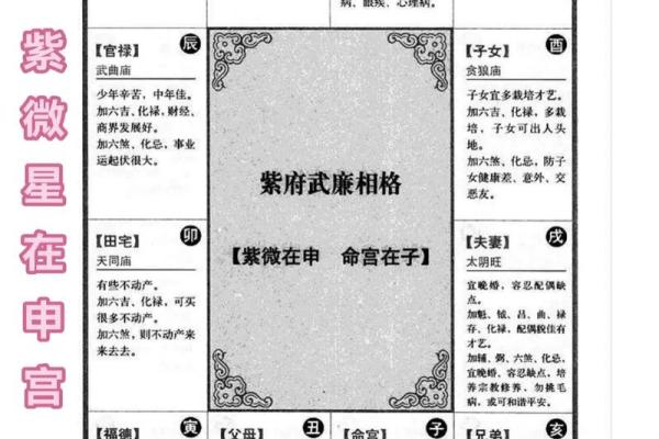 在线紫薇排盘：快速精准的命理解析方式