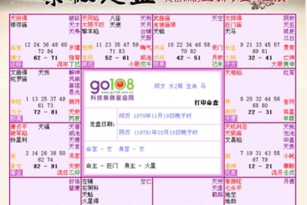 在线紫薇排盘：快速精准的命理解析方式