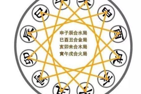 猴与其他生肖的相合与相克分析