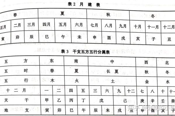 壬在天干地支中的数字含义解析