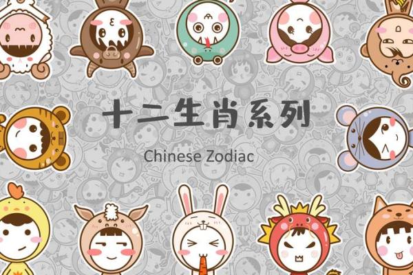 时属什么生肖对未来运势的影响