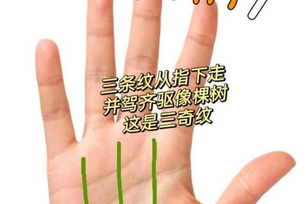 手相学中的掌线与位置解读：揭示命运的秘密