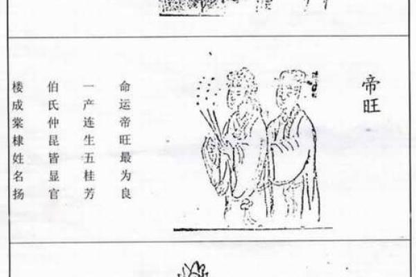如何通过三世财运提升财富运势