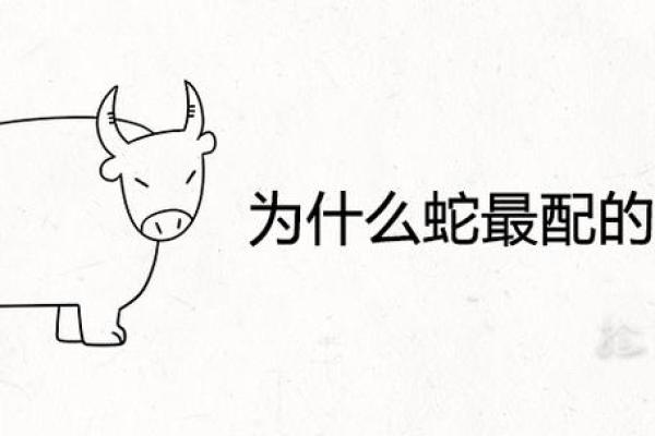 牛与蛇的婚姻能否长久？深度分析