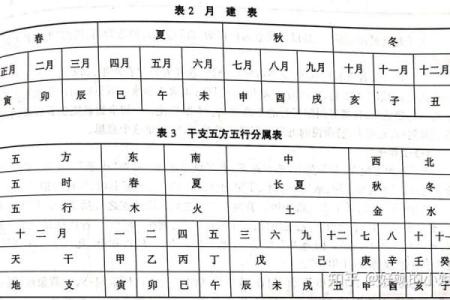 壬在天干地支中的数字含义解析