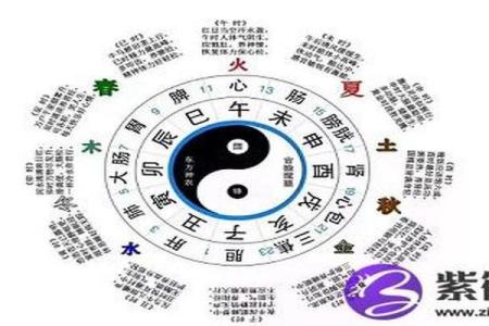 玄空飞星在个人命理分析中的作用