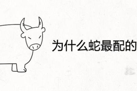 牛与蛇的婚姻能否长久？深度分析