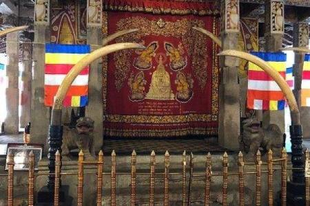 十月的节日之旅：探索全球庆祝活动