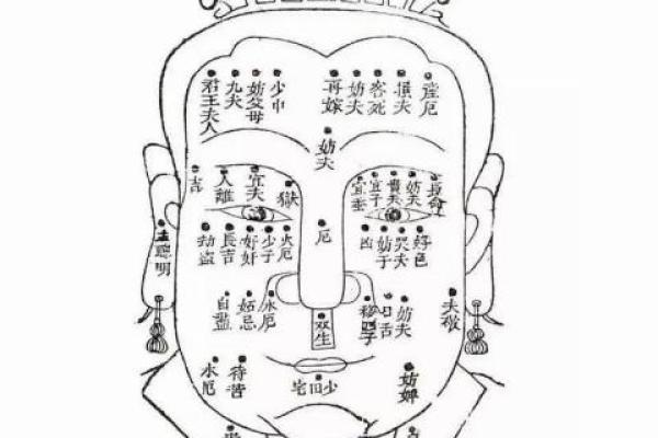 解读人体痣相：如何从痣的位置预测未来