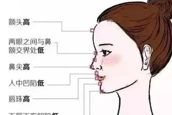 面相学中的天庭特征如何预测未来