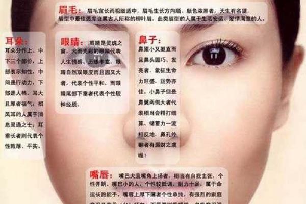 女人旺夫面相的七大特征揭秘