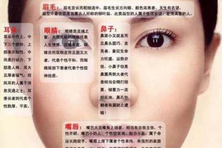 女人旺夫面相的七大特征揭秘