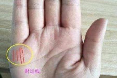 探索手相算命免费服务，了解未来走向