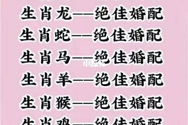 女龙男兔婚姻是否和谐？揭秘生肖配对的真实情况