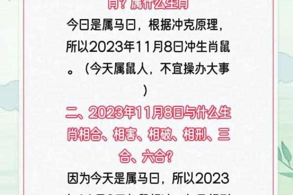 冲什么属相最不利