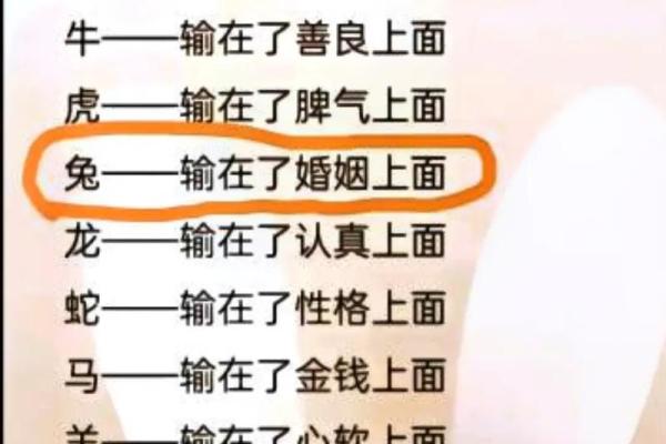 女兔男蛇结合：从性格到命运的全方位解析