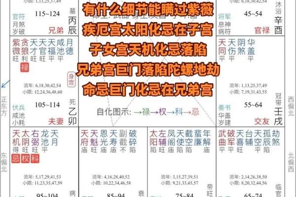 紫微斗数在现代生活中的应用