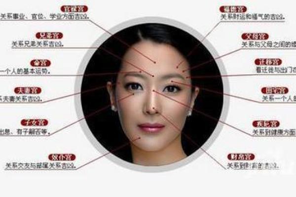 狐狸面相的奥秘：如何通过面相识别聪明的人