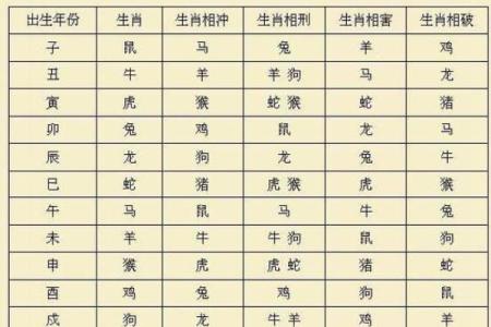 女龙男兔婚姻是否和谐？揭秘生肖配对的真实情况