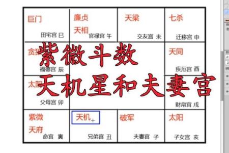 紫微斗数命盘中的夫妻宫与配偶选择