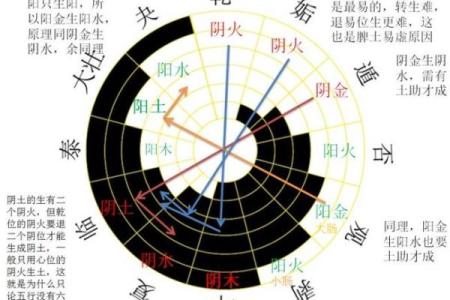 智五行属于什么类型解析