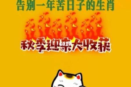 九月出生的你是什么生肖？看这里