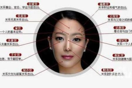 狐狸面相的奥秘：如何通过面相识别聪明的人