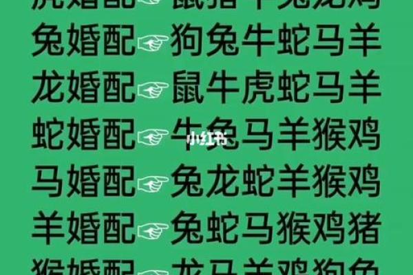 牛与兔能否和谐相处？生肖配对解析