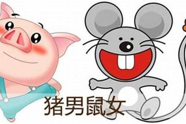 女猪男狗婚姻配对的幸福与挑战分析