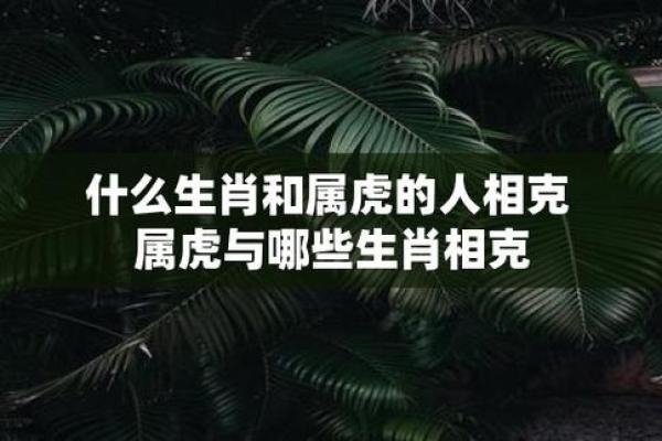 刀枪剑戟齐上阵，揭示生肖中的勇猛之力