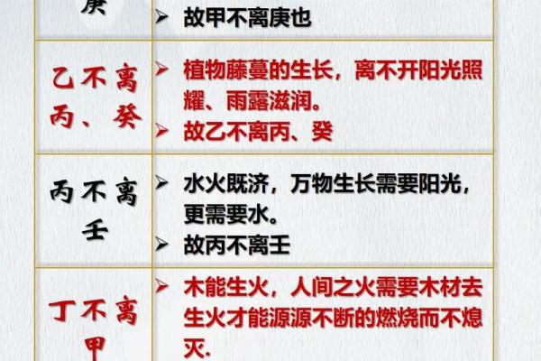 如何理解天干地支值在命理中的重要作用