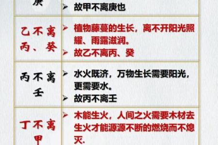 如何理解天干地支值在命理中的重要作用