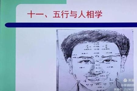 鹤字的五行属性解析与命理影响