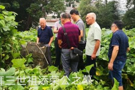 通过三世财运探究财富的源泉