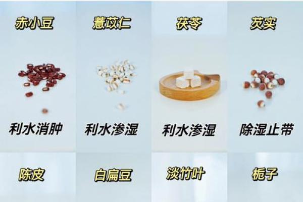 温字五行属性解析及其对命理的影响