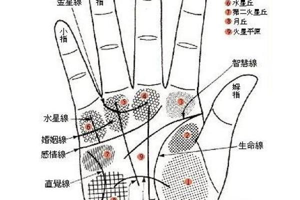 如何通过流年运势调整自己的生活规划