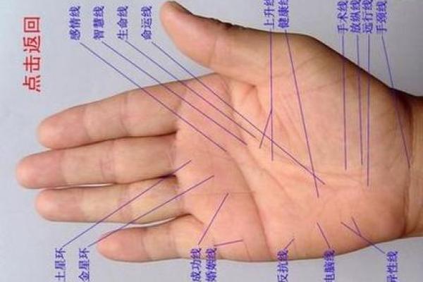 看手相算命：女性命运中的关键手掌线条解析