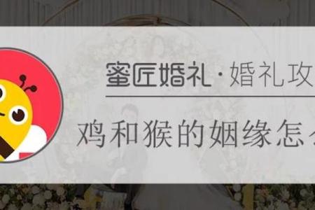 如何让鸡与鸡的婚姻关系更加融洽
