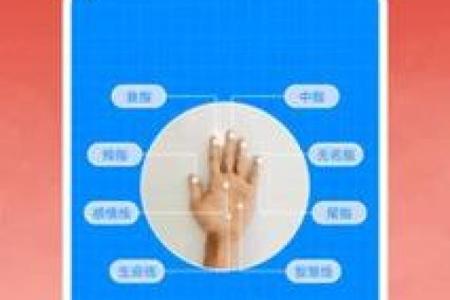八字排盘网站：揭开人生运势的神秘面纱