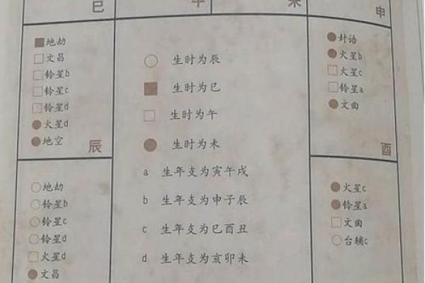 斗数排盘解析与应用技巧