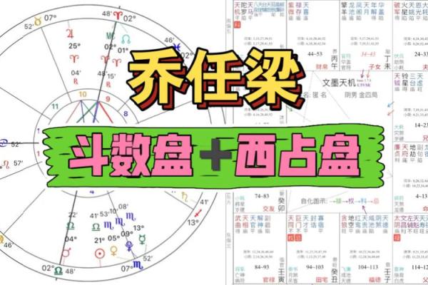 斗数排盘解析与应用技巧